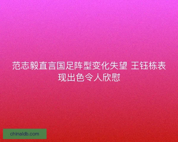 范志毅直言国足阵型变化失望 王钰栋表现出色令人欣慰