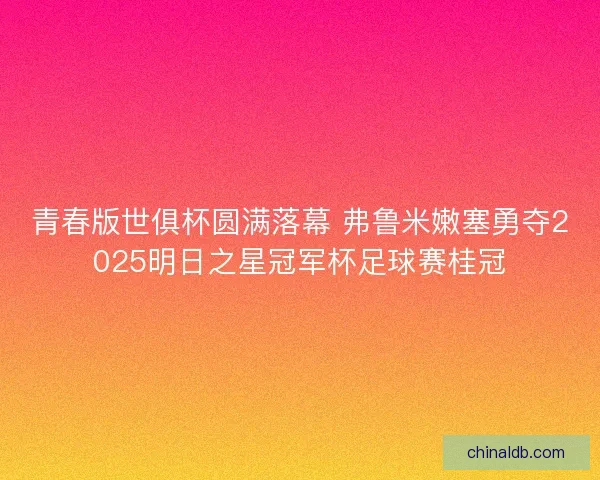 青春版世俱杯圆满落幕 弗鲁米嫩塞勇夺2025明日之星冠军杯足球赛桂冠
