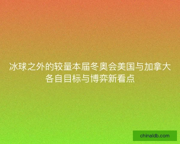 冰球之外的较量本届冬奥会美国与加拿大各自目标与博弈新看点
