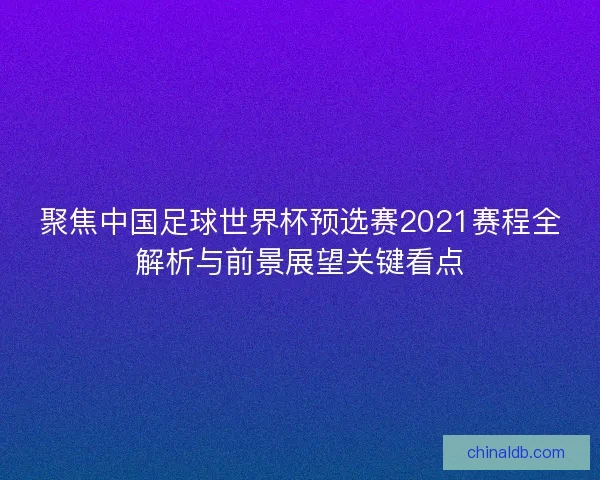 聚焦中国足球世界杯预选赛2021赛程全解析与前景展望关键看点